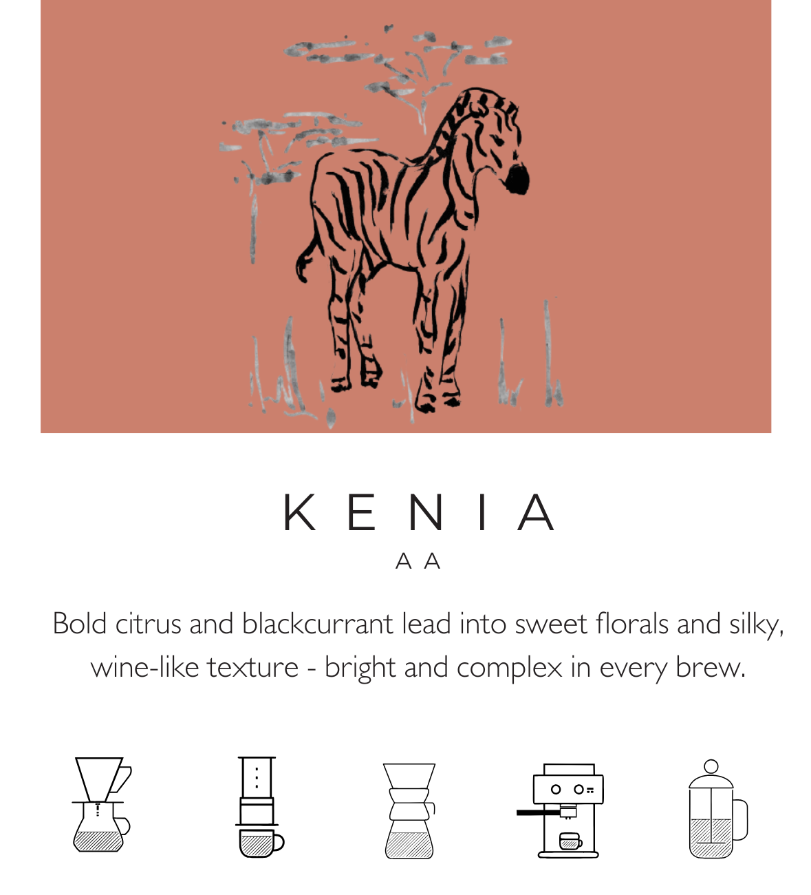 Kenia AA Masai