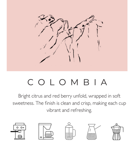 Colombia Excelso
